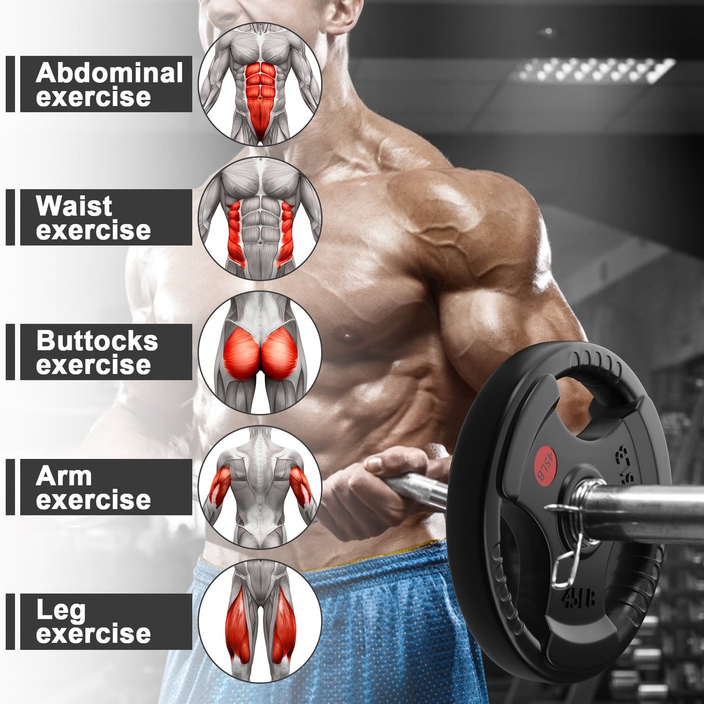 GIKPAL 45lbs Weight Plates 2 Inch Rubber Coated Olympic Weight Plate for Strength Training & Weightlifting in Home Gym, Solid Cast Iron Bumper Plates for Barbell