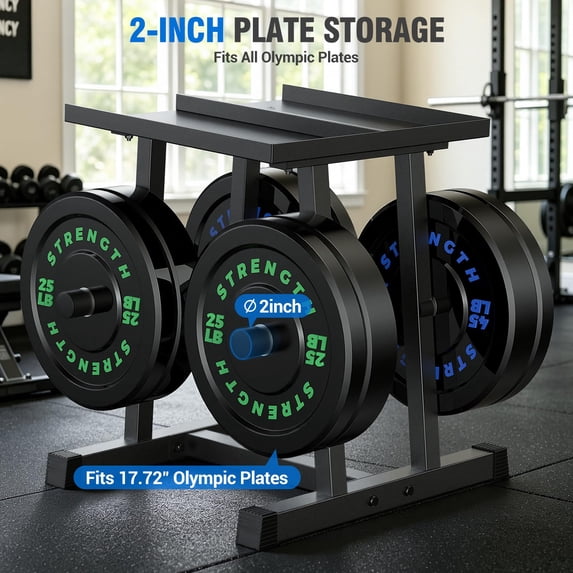 GIKPAL Adjustable Dumbbell Rack with Plate Storage, Space-Saving Home Gym, 600 lb