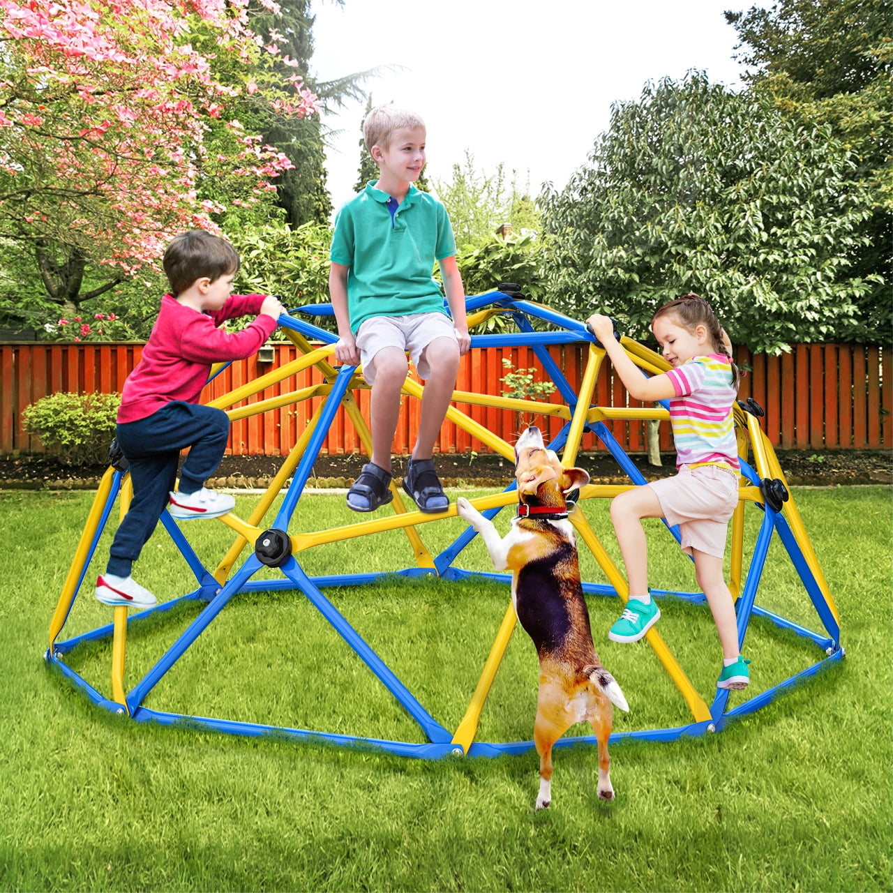 GIKPAL 6FT Dome Climber, Jungle Gym for Kids 3-5 Year Outdoor Play Center, Supporting 600 lbs Rugged and Interesting Climbing Dome, Yellow and Blue